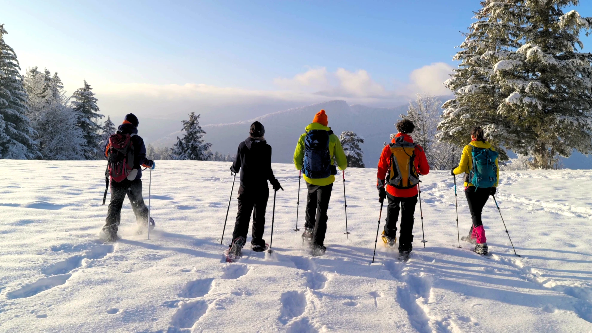 Winter snow activities: Vercors, Villard-de-Lans, Autrans