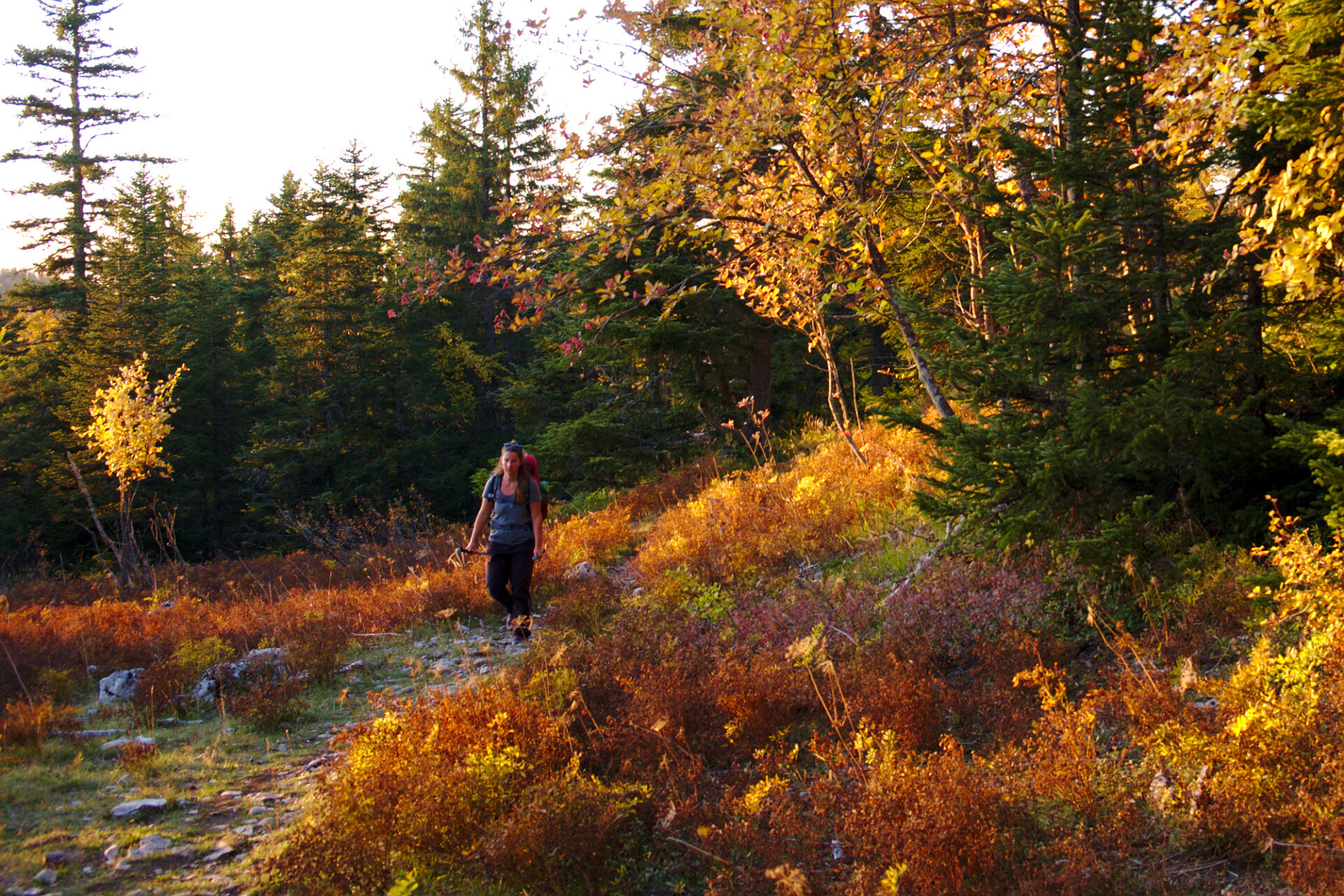 automne vercors