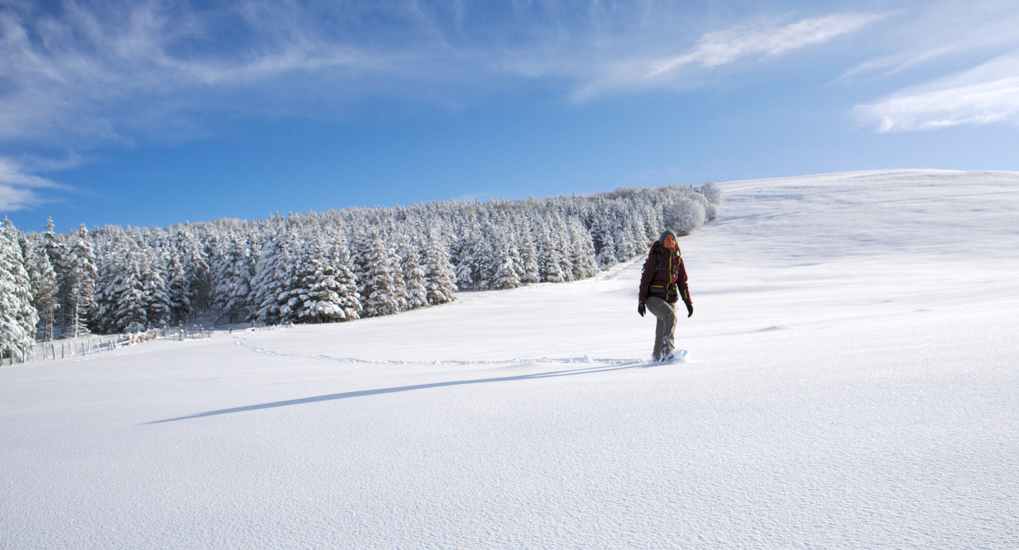 snowshoe walks in the vercors and snow hikes villard de lans