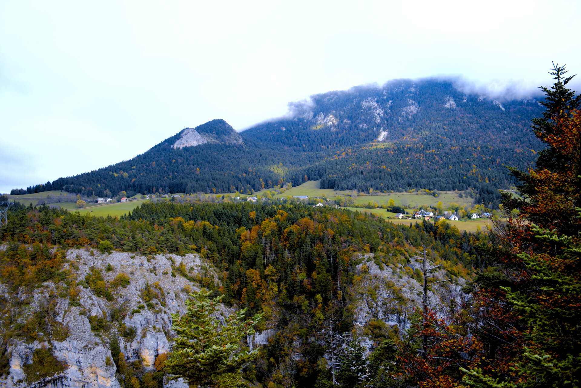 Bec de l'aigle à l'automne