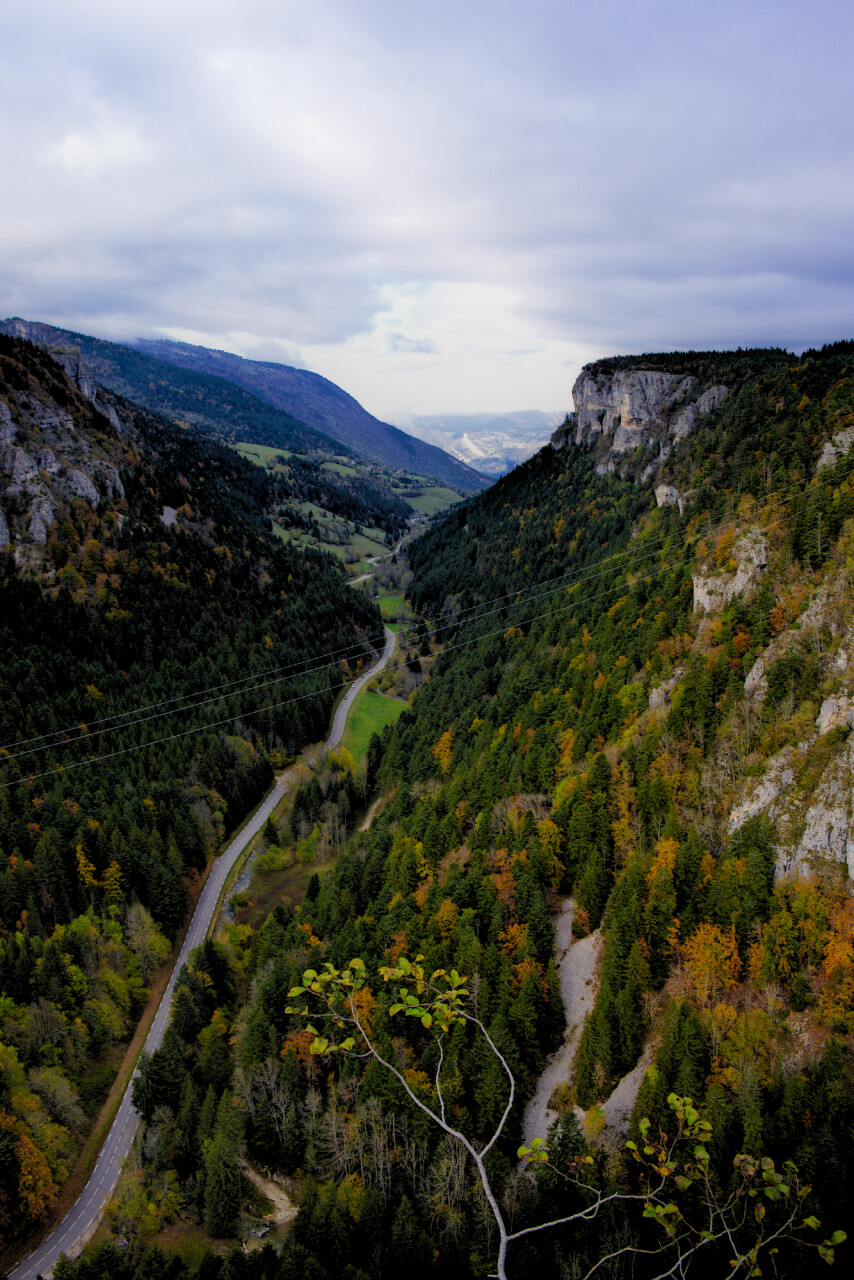 Bec de l'aigle