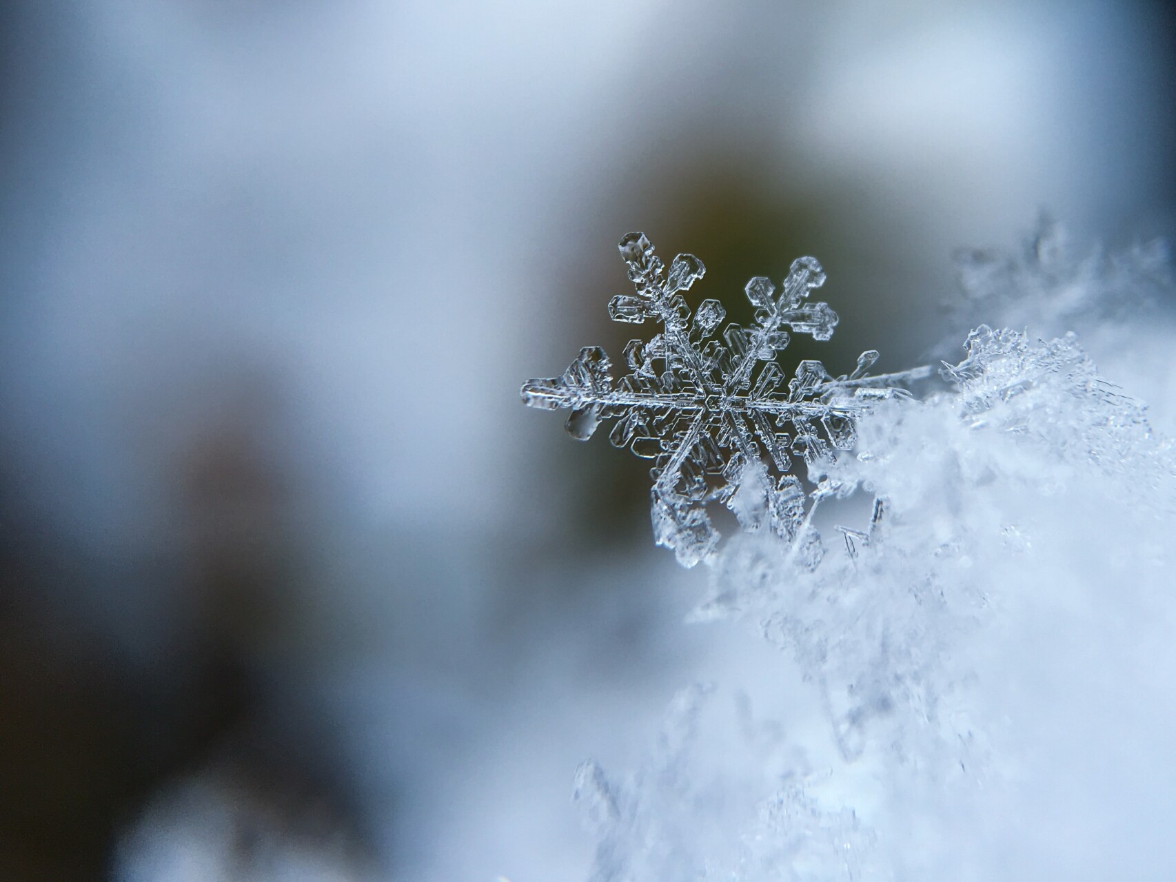 Nature or hiking gift idea: a voucher for Christmas or a birthday