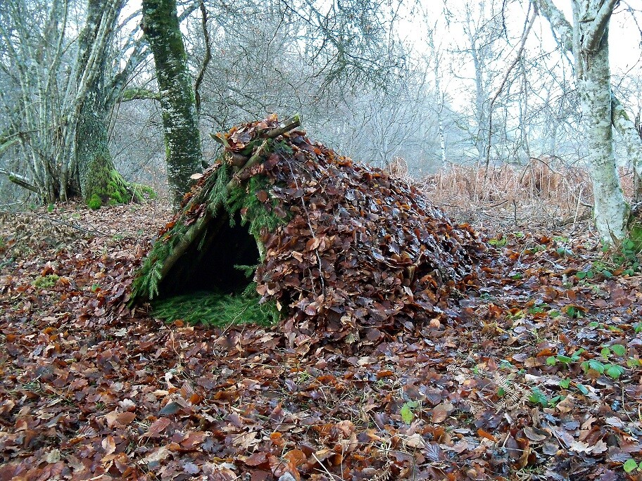 Cabane