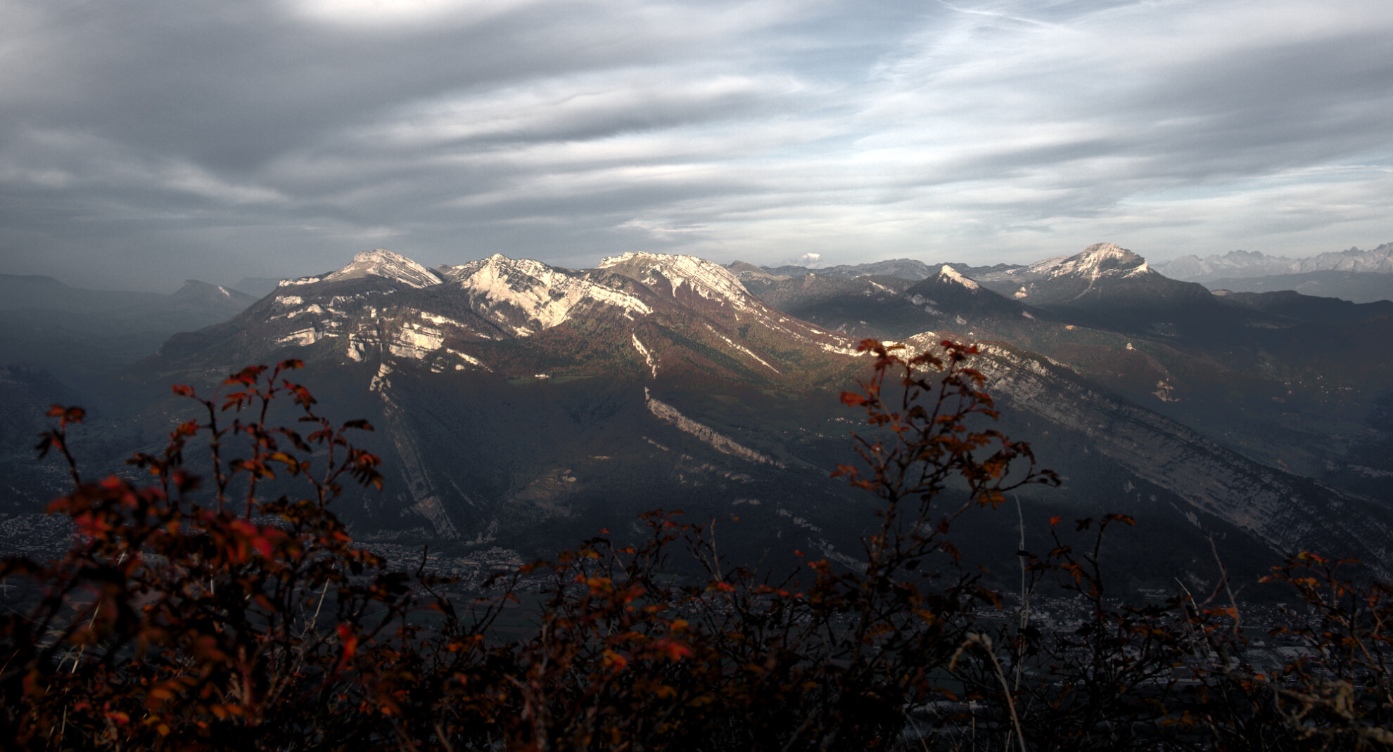 Chartreuse automne