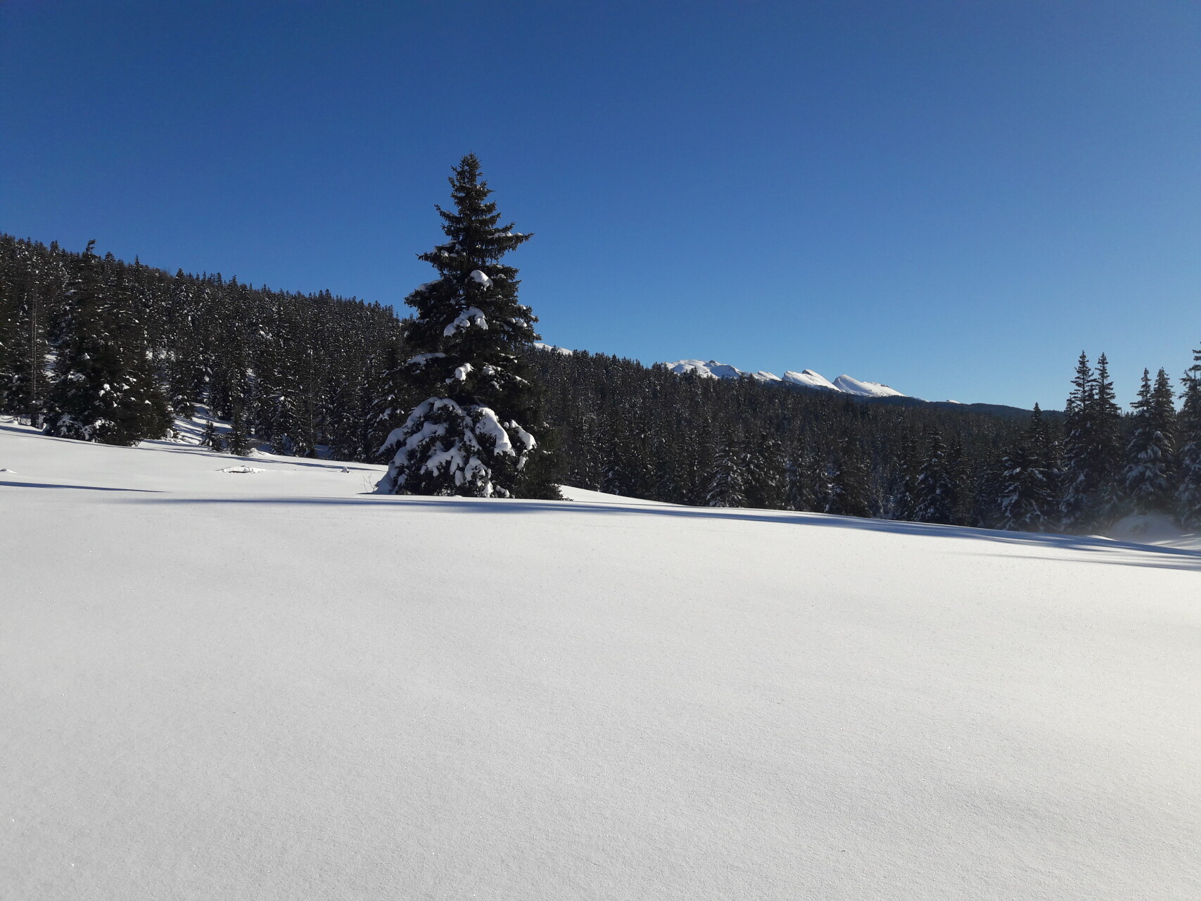 haut-plateau
