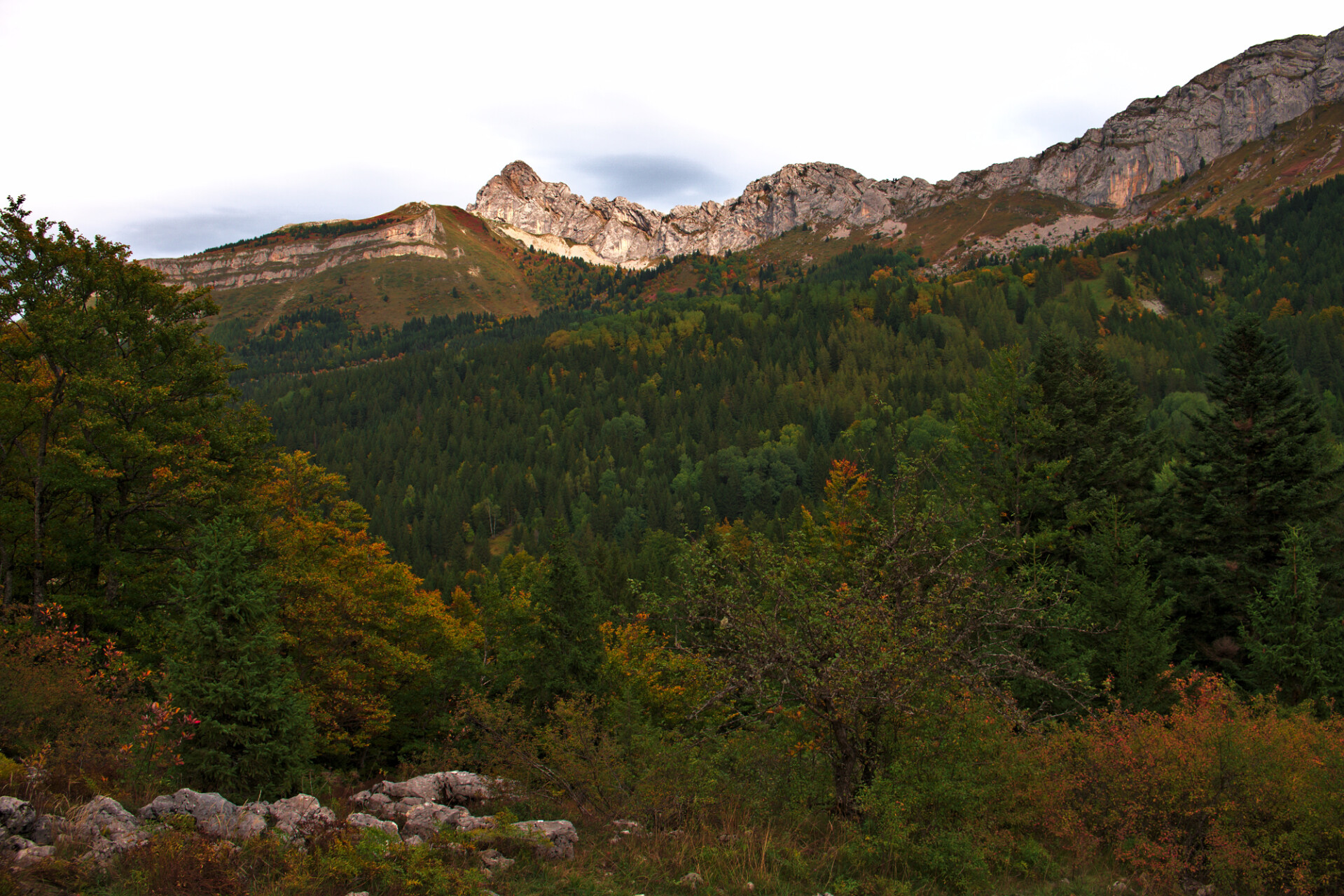 cornafion automne