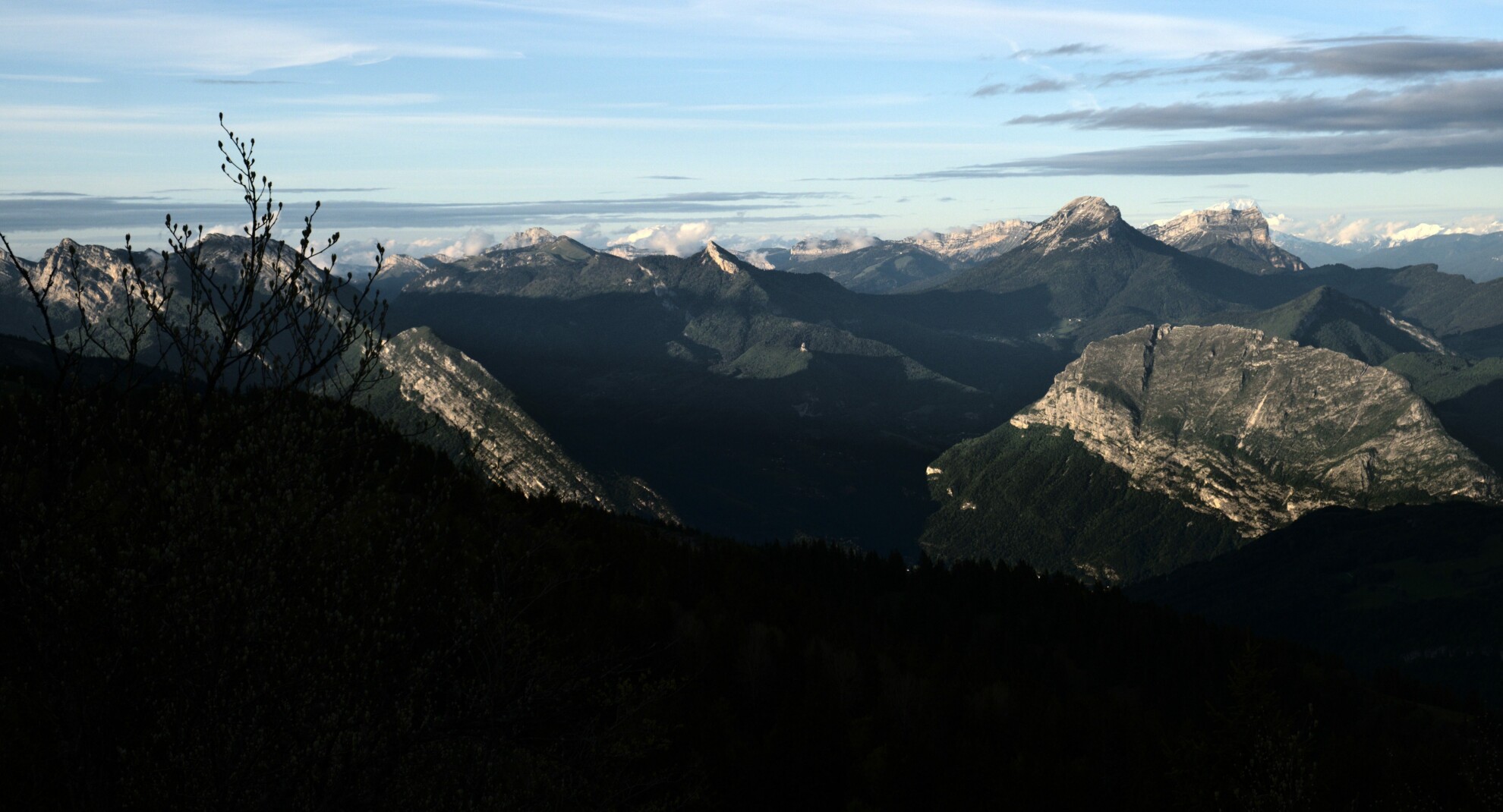 Sunset Chartreuse