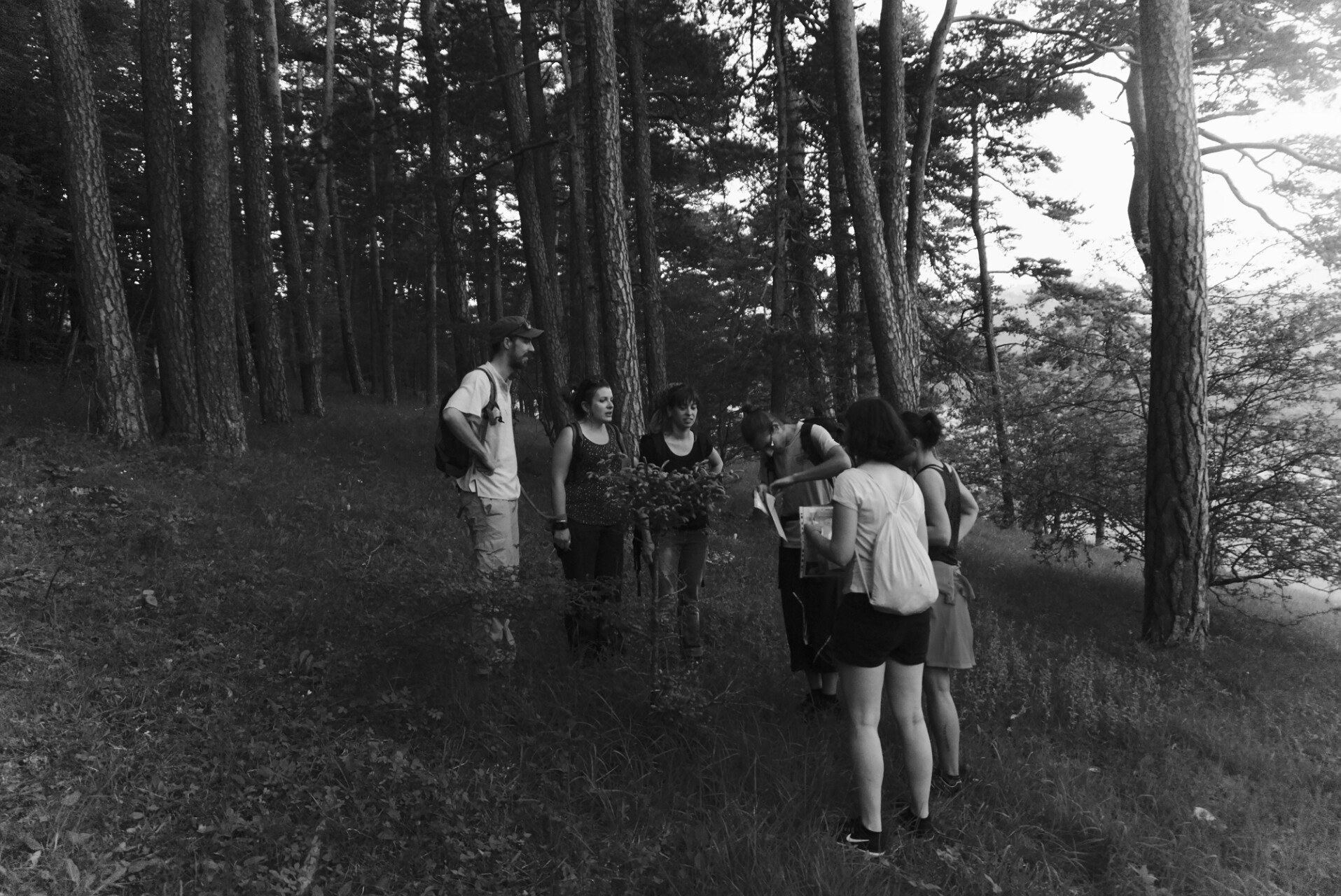 Escape Game Forest