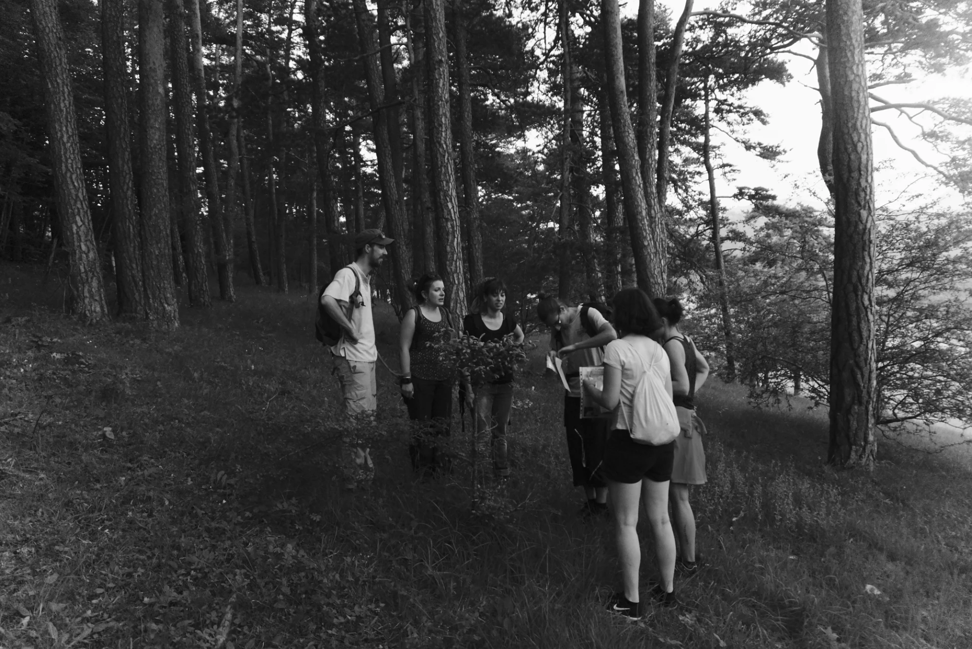Escape Game Forest