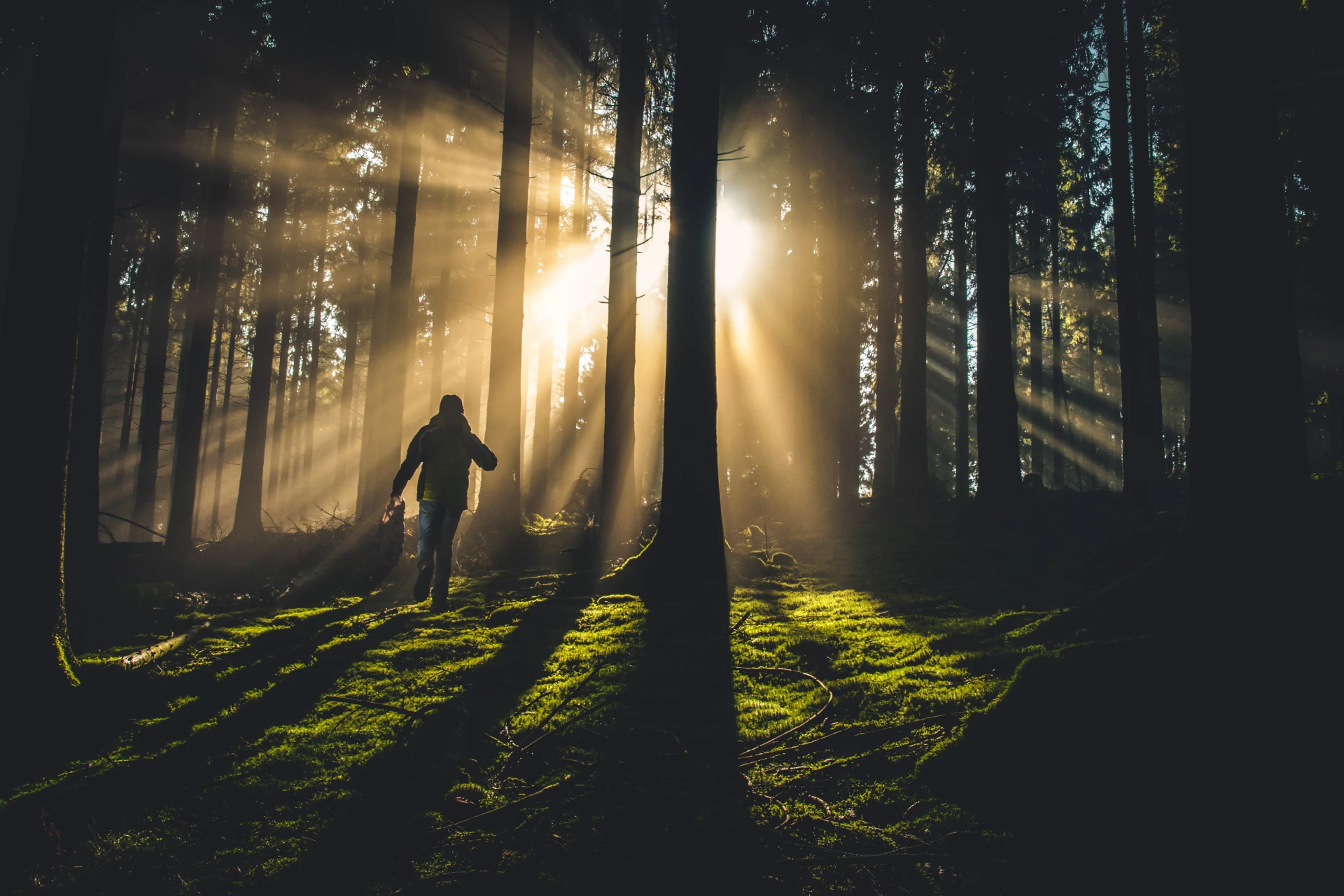 <span class="font-light! text-base!">Nature discoveries</span><br>Vercors Escape Game
