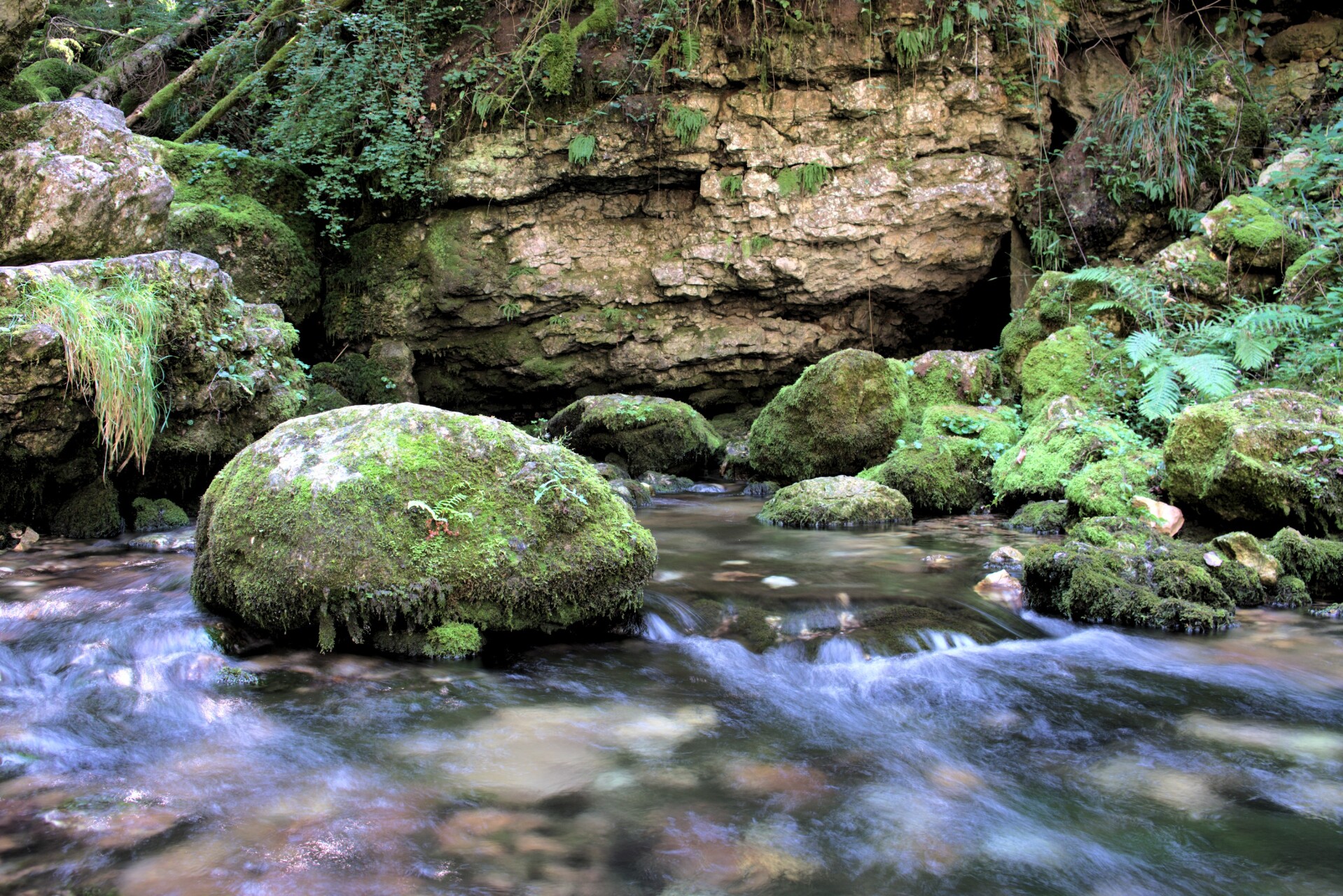 Bruyant Gorges