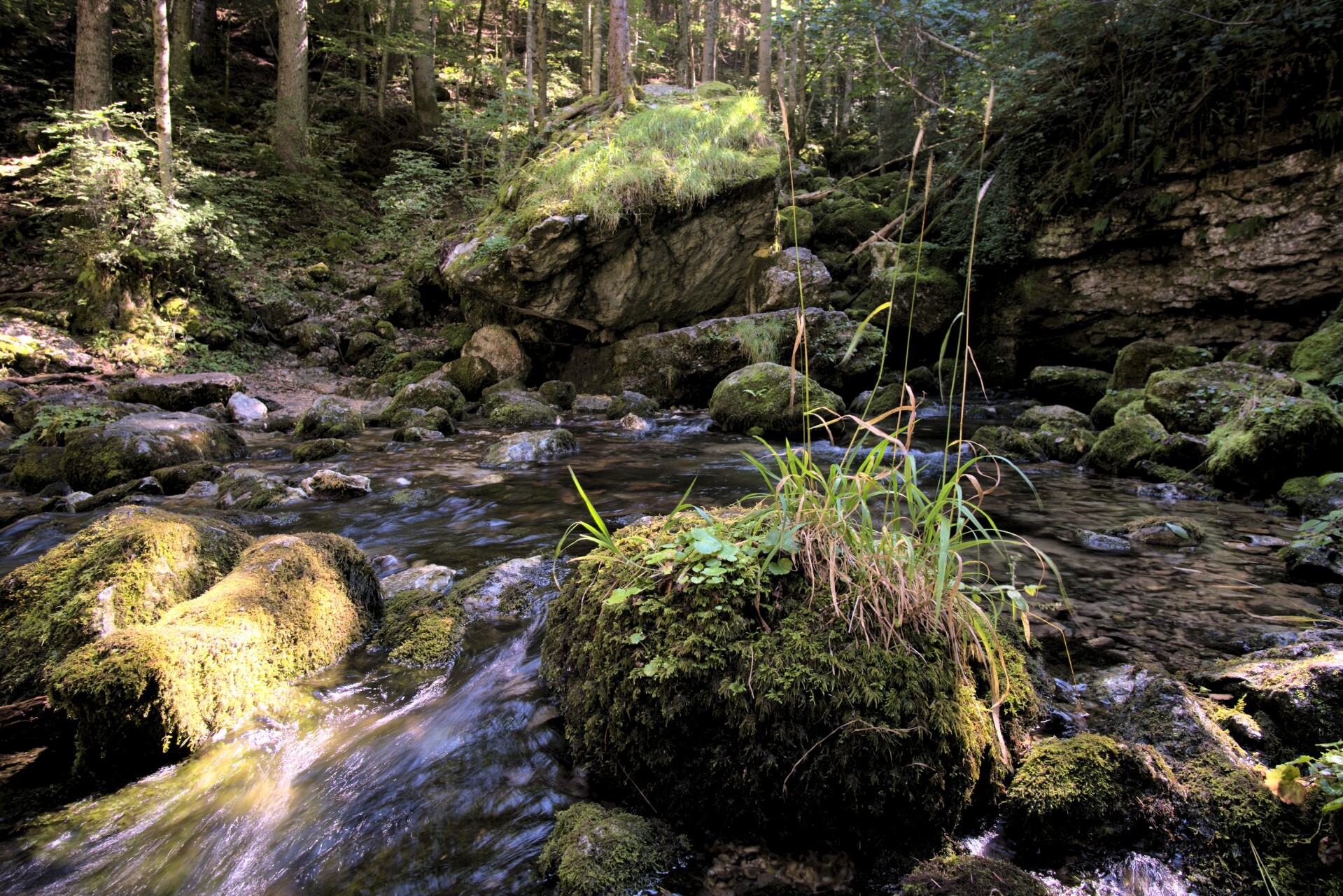 Upper Bruyant, Vercors