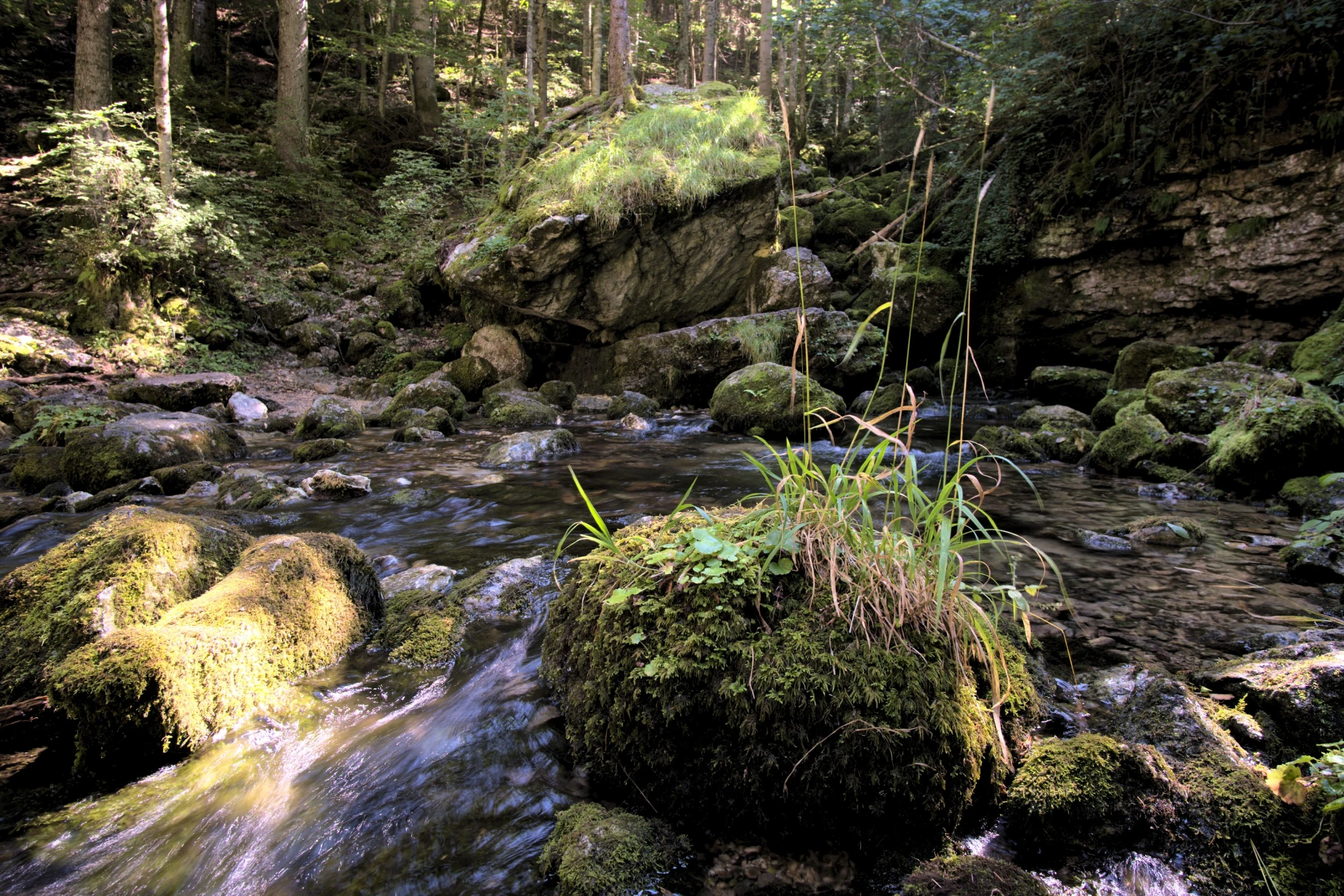 Upper Bruyant, Vercors