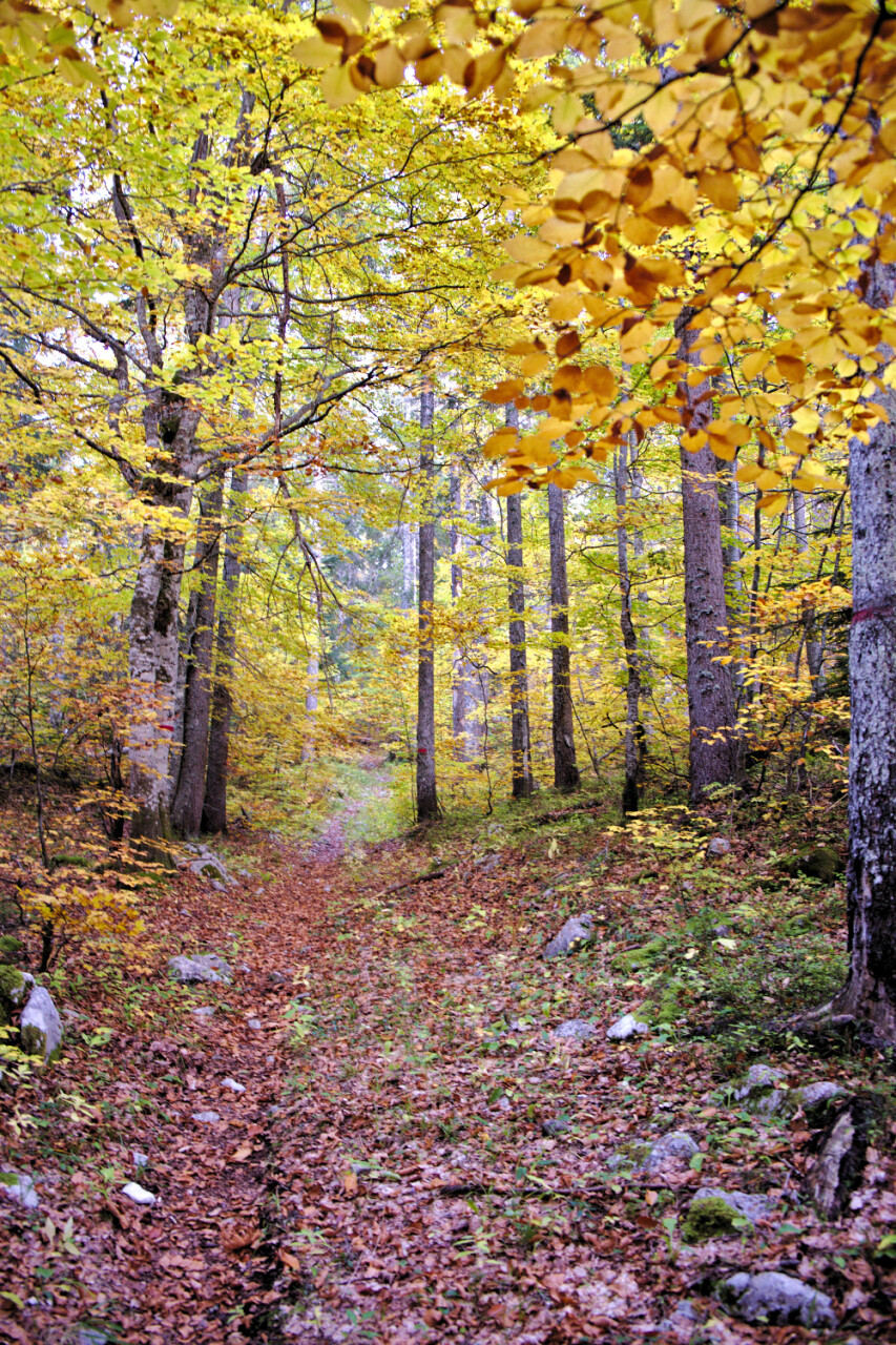 Hếtraie Vercors