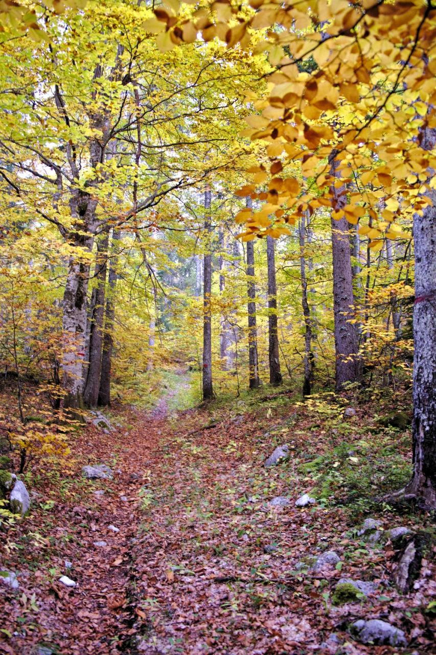 Hếtraie Vercors