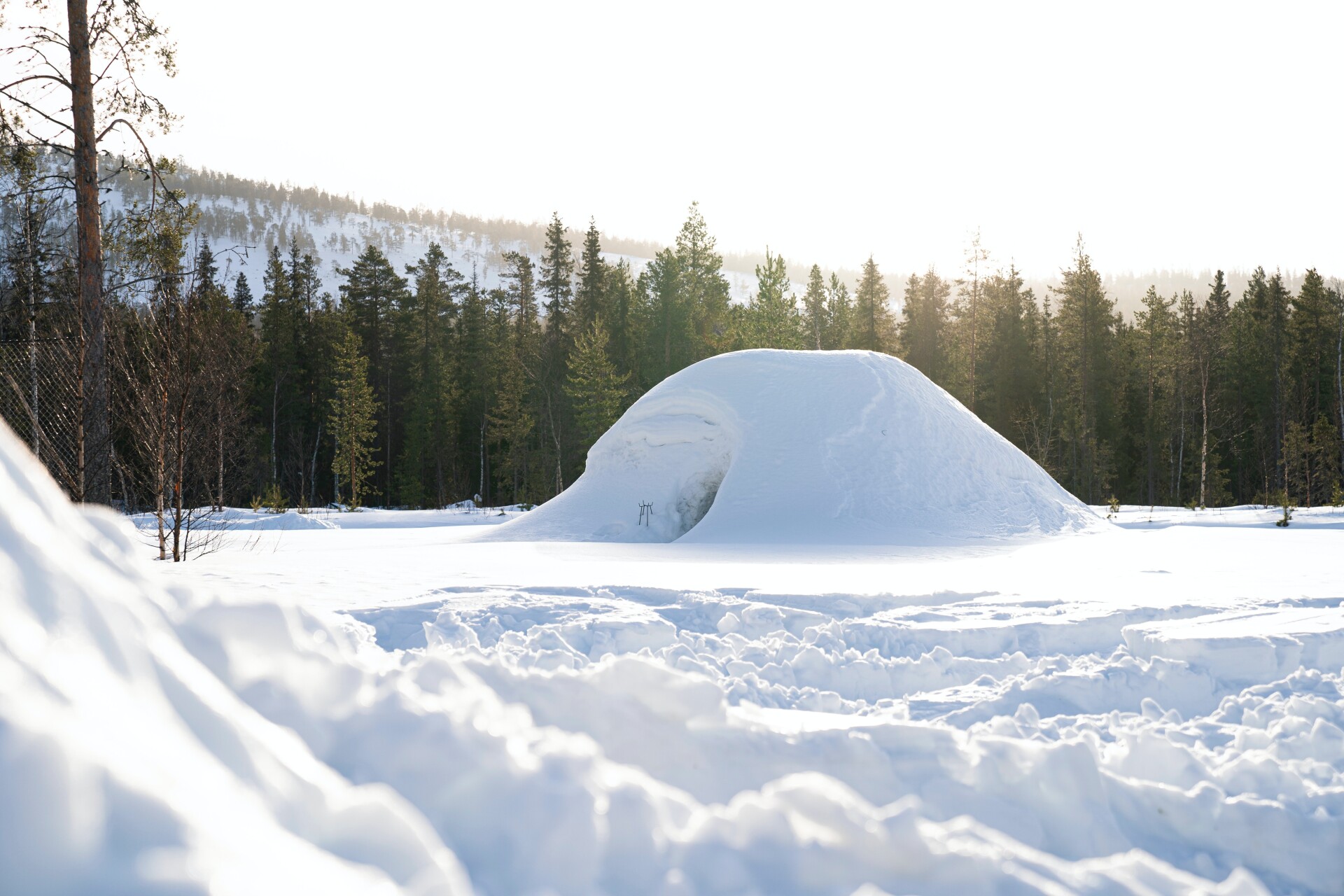 Build and sleep one night in an igloo