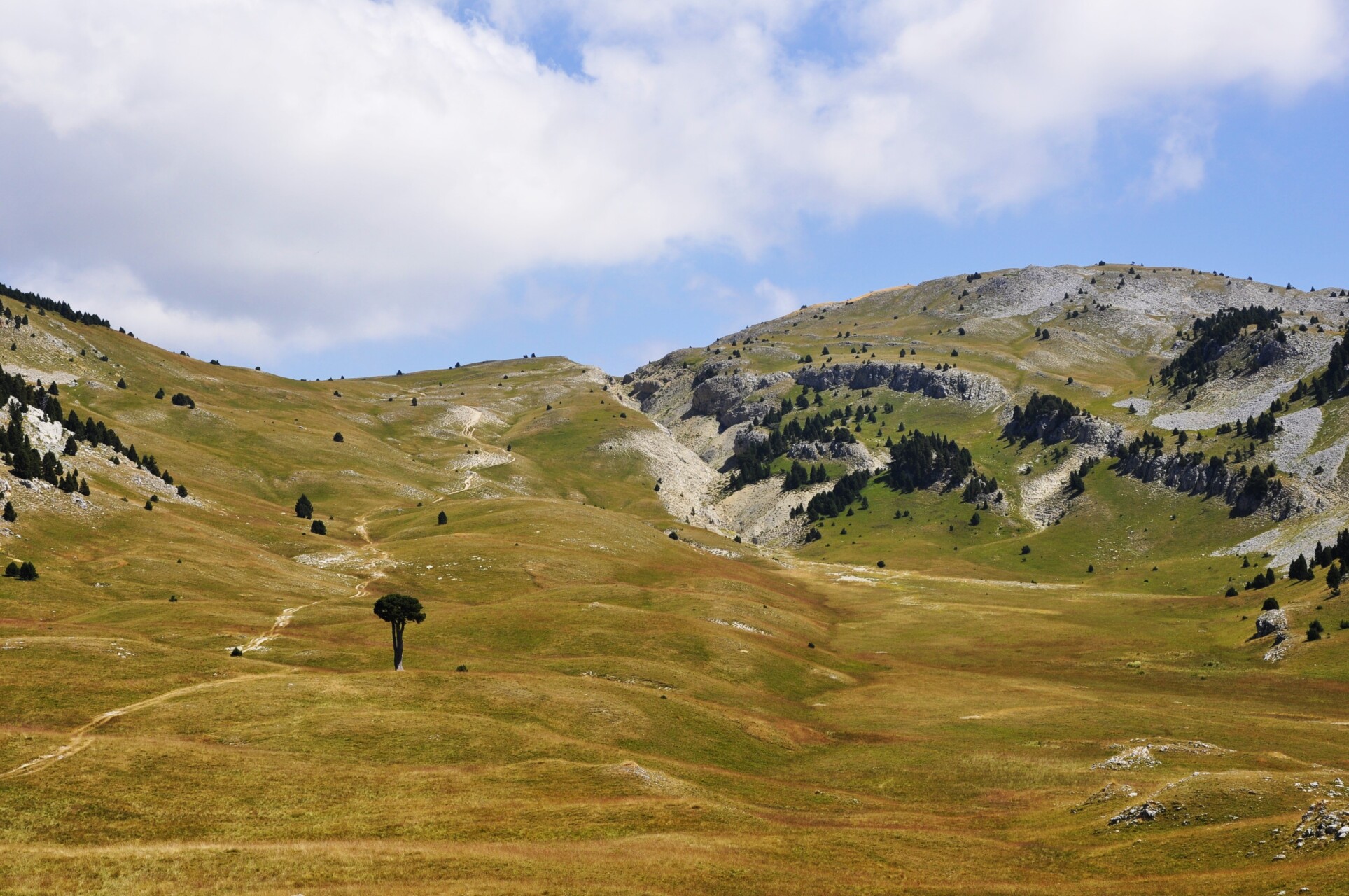 The Grande Plaine de la Queyrie, Vercors