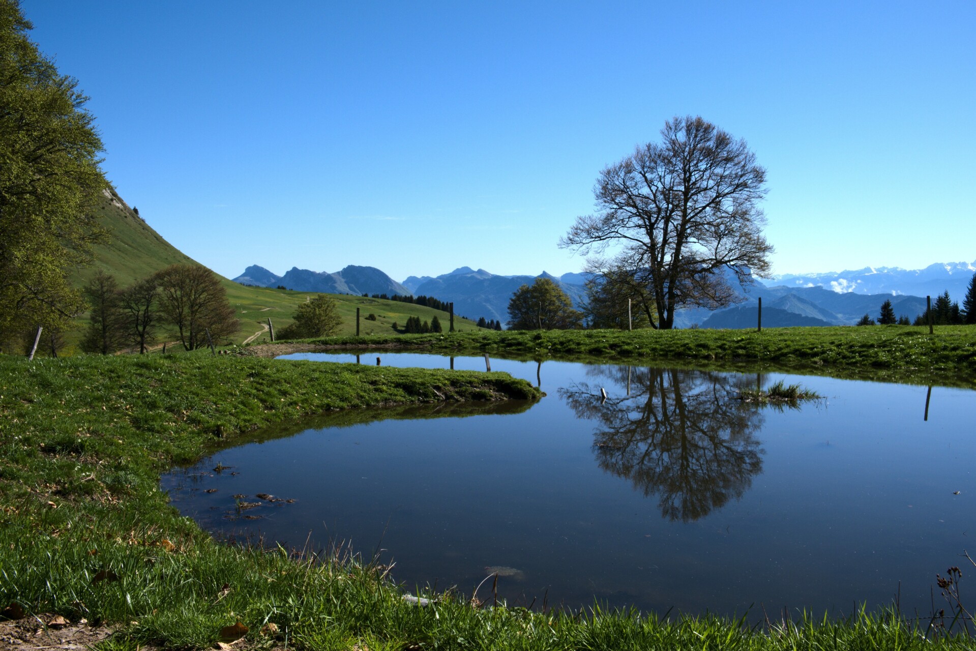 Walks and hikes toward the Vercors lakes