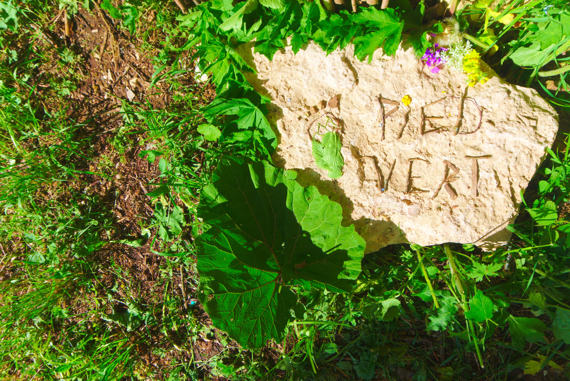 Land-Art: ephemeral artwork with and in nature