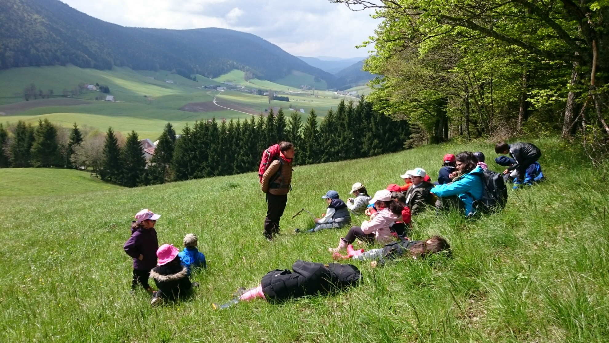 Landscape Reading
