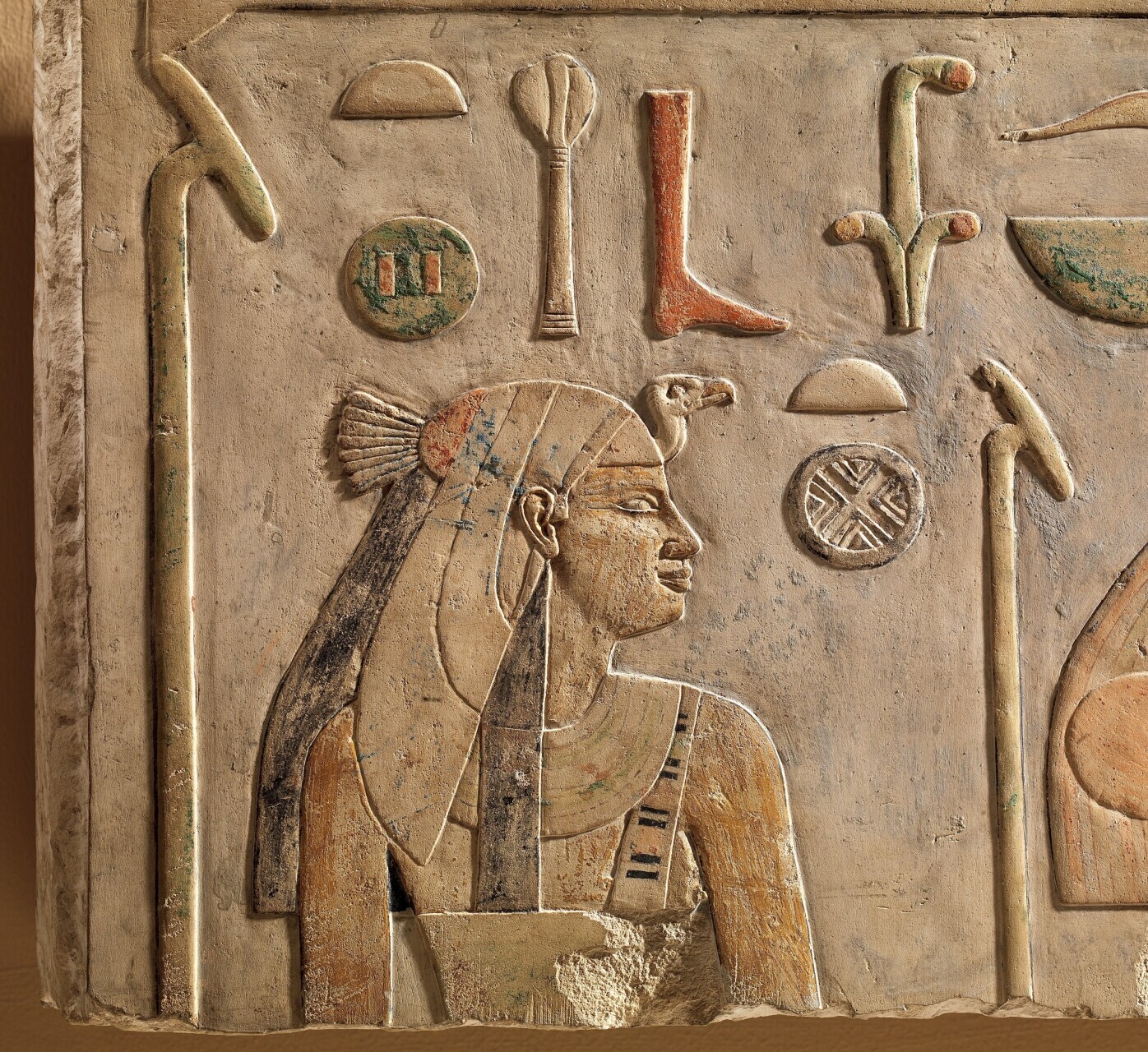 The vulture, long before us From hieroglyphs to the Causses