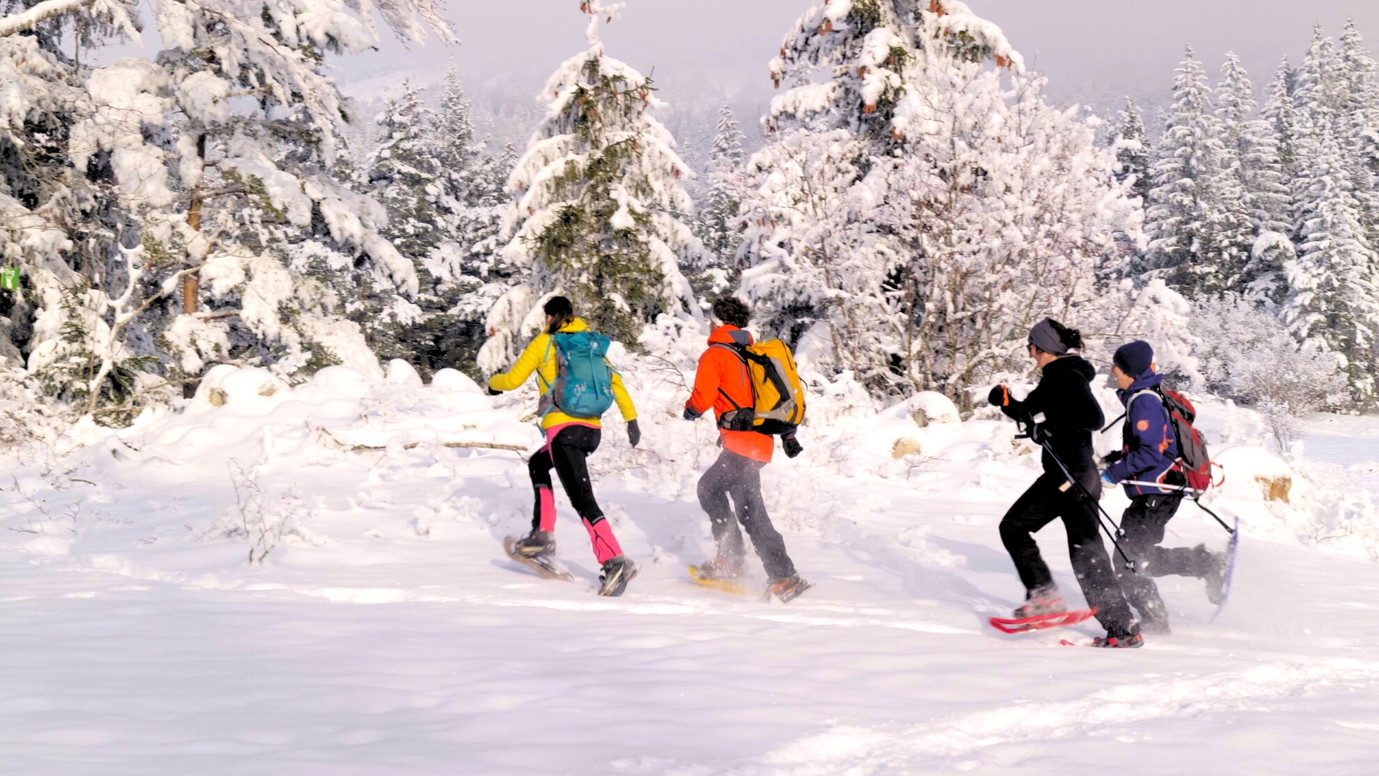 Playful challenge Snow navigation