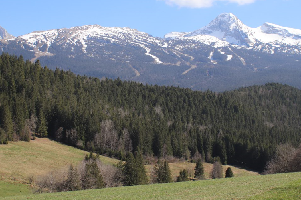 panorama-col-liorin