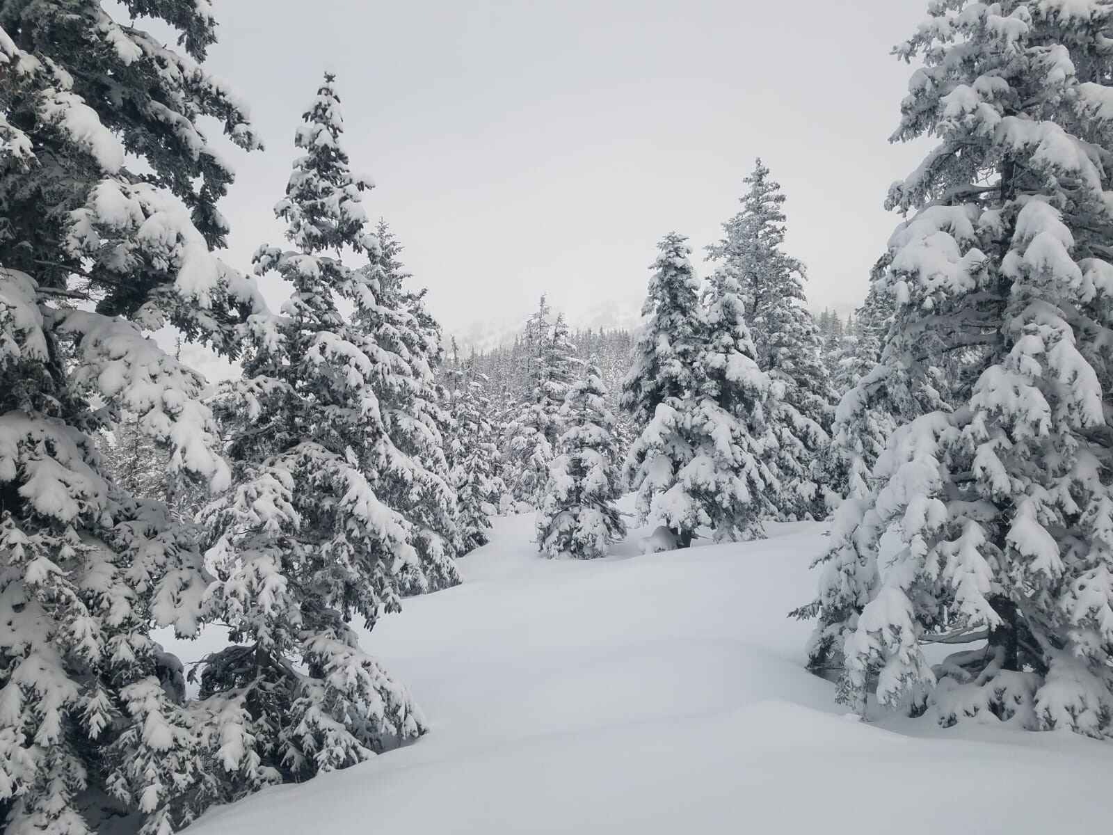 Arctic Adventure in the Vercors