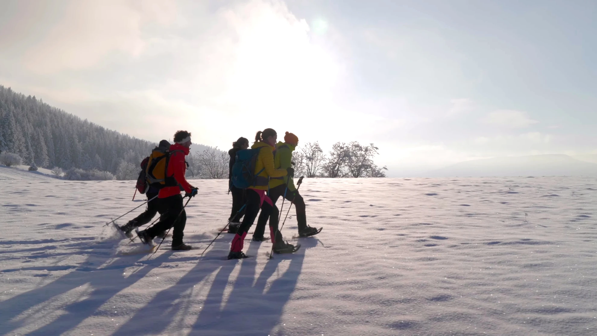 Snowshoeing outings and hikes in the Vercors - Isère