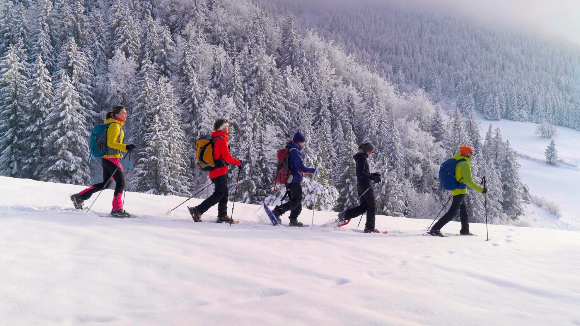 Snowshoe hikes from Autrans or Méaudre