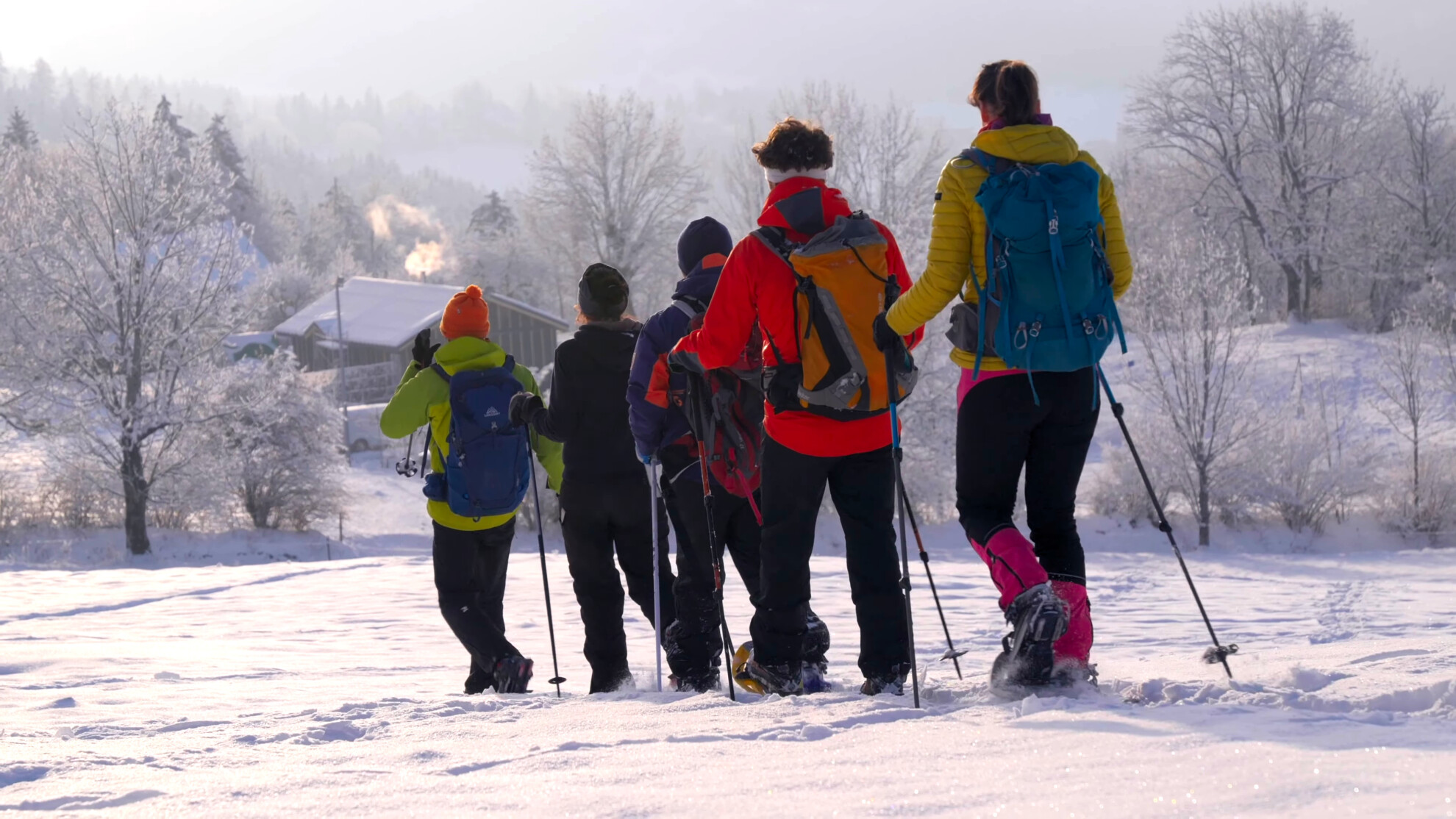 Snowshoeing Lans en Vercors