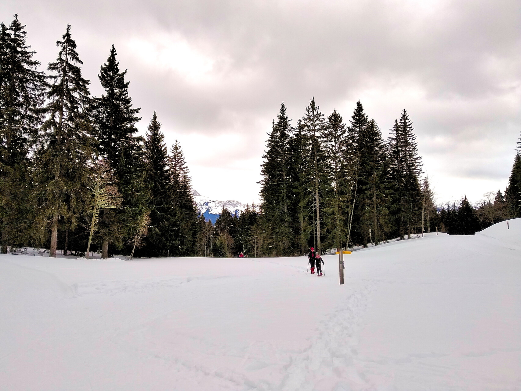 Méaudre snowshoeing