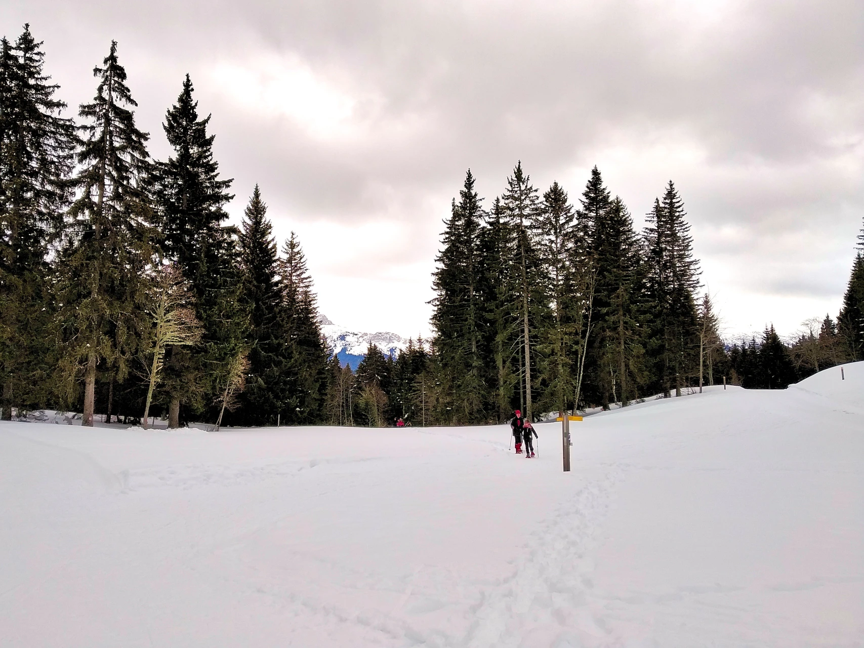 Méaudre snowshoeing