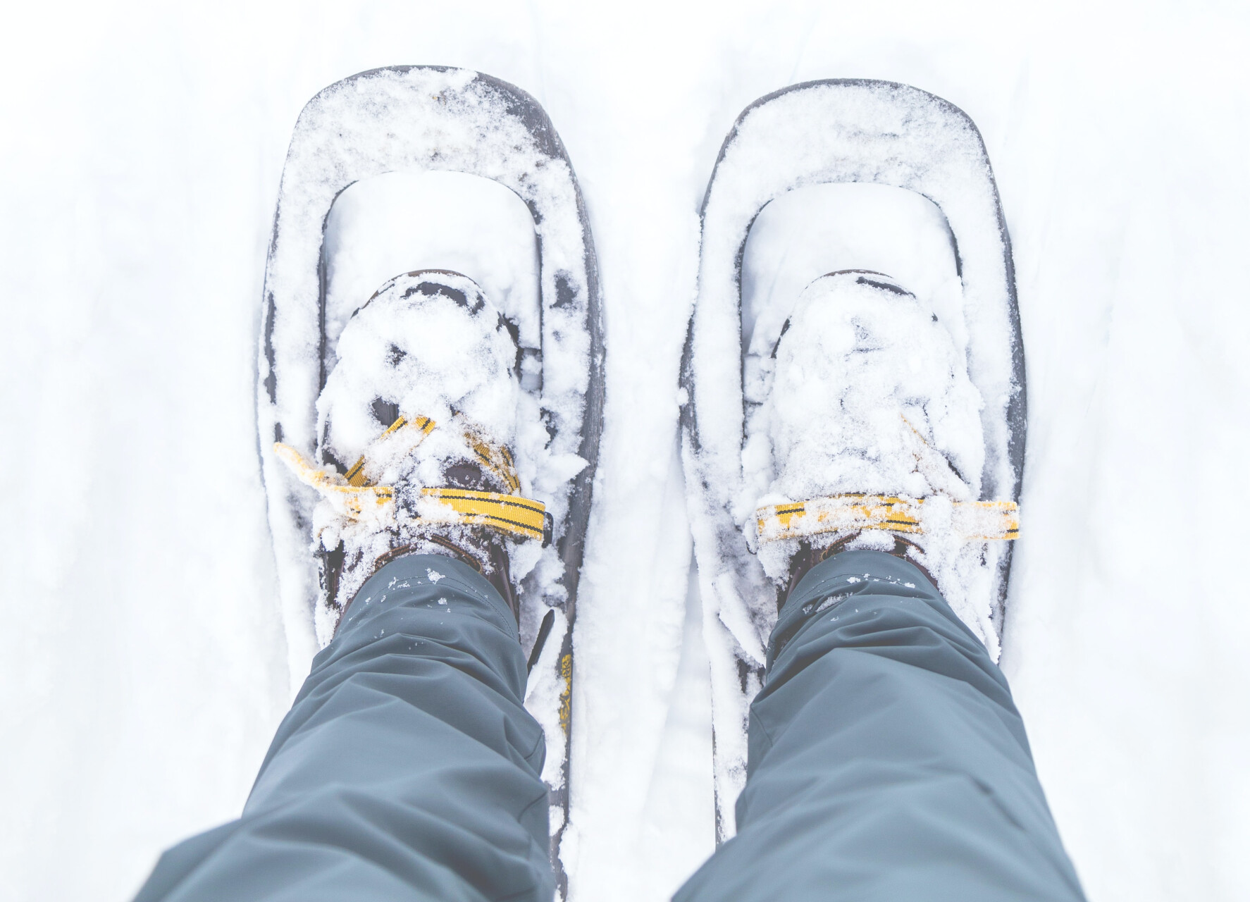 Snowshoeing as night falls