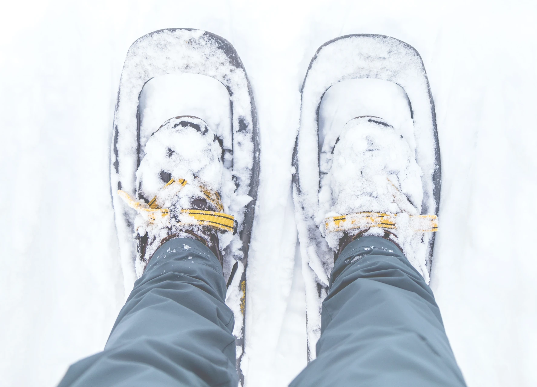 Snowshoeing as night falls