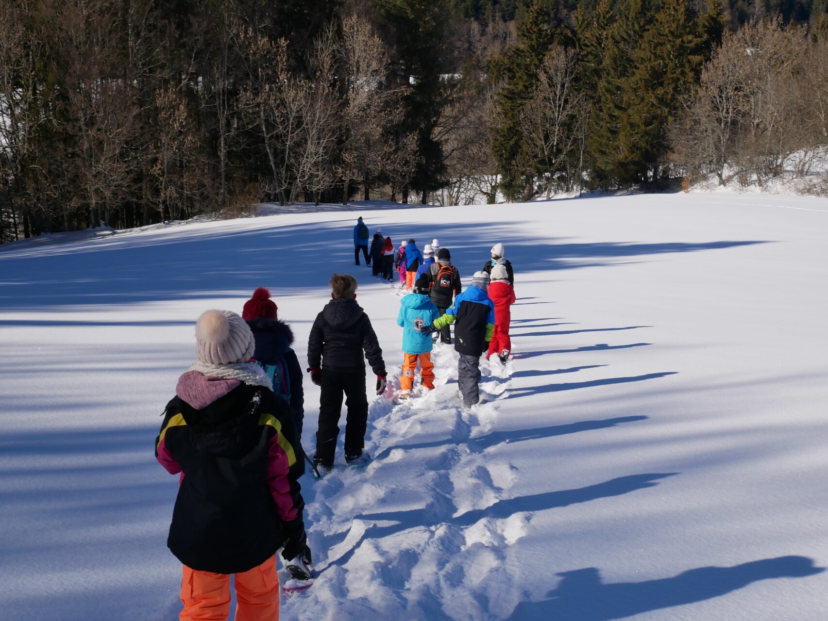 School Snowshoeing