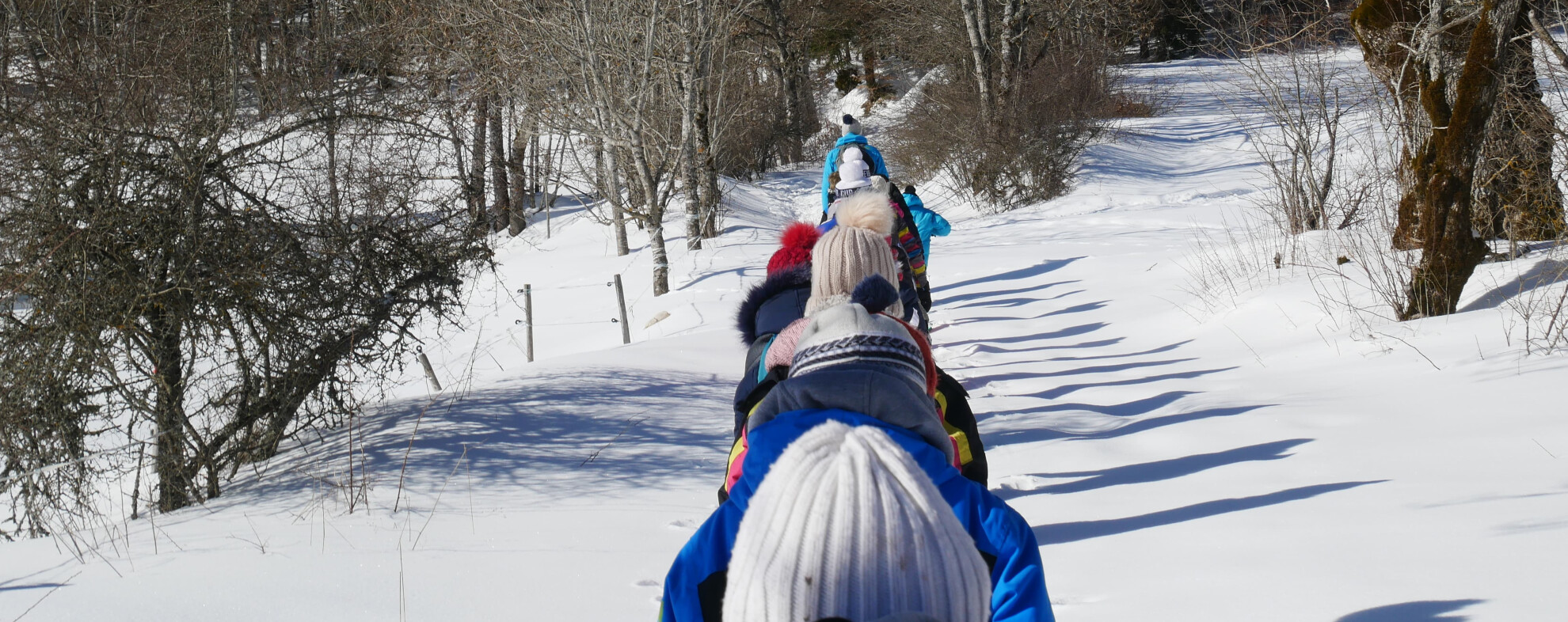 éducation à l'environnement en vercors, villard de lans et autrans